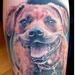 Tattoos - DOGGIE - 92125